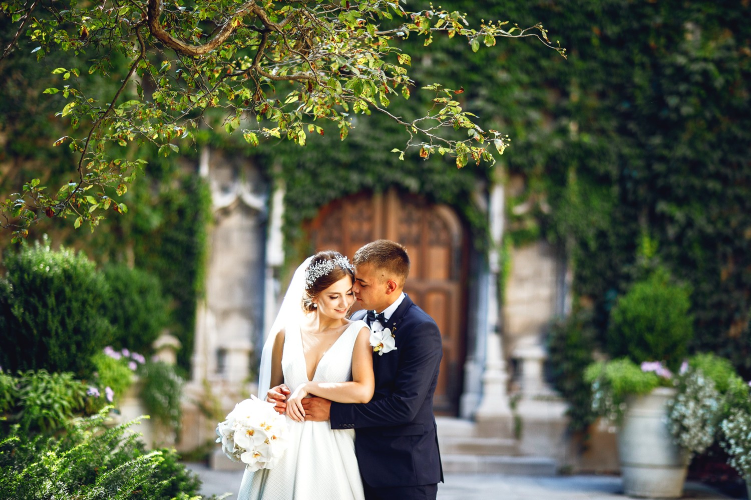 Background Image 2