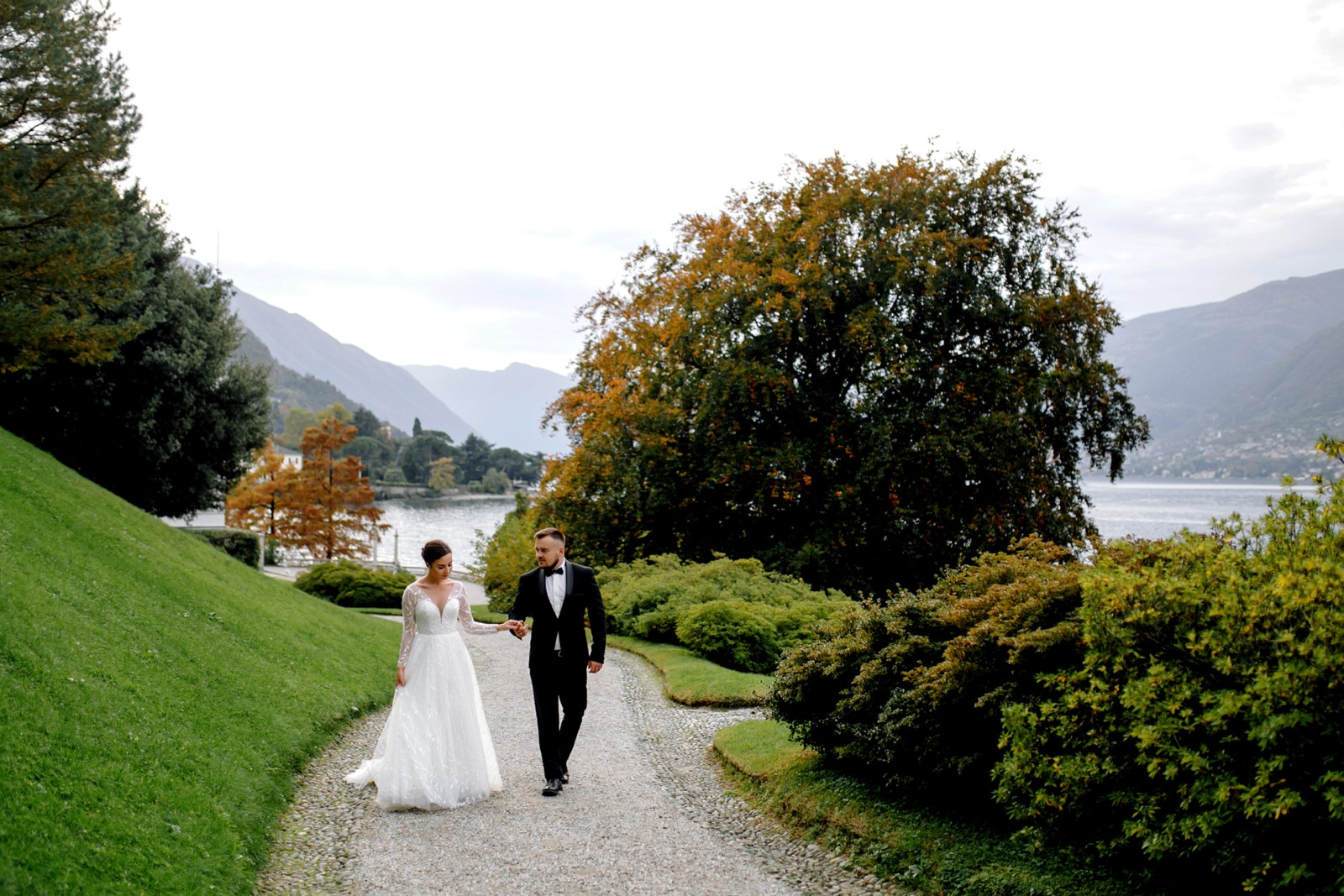 Background Image 3